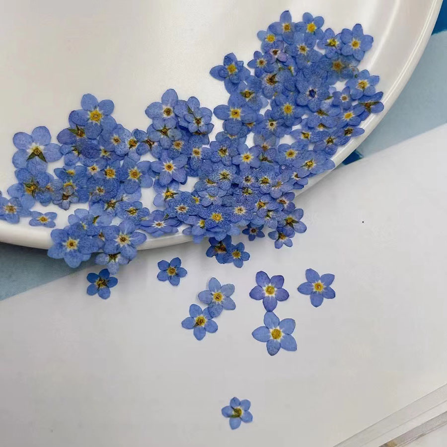 60 adet Mini Preslenmiş Kurutu - Resin Art Case incelemesi ve fiyatı